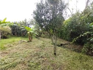 Foto 44 de FINCA PRODUCTIVA EN VENTA EN BOLO LA ITALIA 
