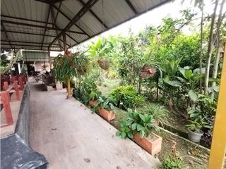 Foto 67 de FINCA PRODUCTIVA EN VENTA EN BOLO LA ITALIA 
