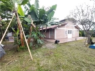 Foto 40 de FINCA PRODUCTIVA EN VENTA EN BOLO LA ITALIA 