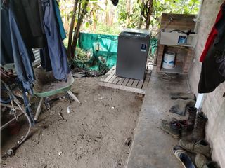Foto 33 de FINCA PRODUCTIVA EN VENTA EN BOLO LA ITALIA 
