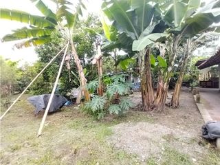 Foto 49 de FINCA PRODUCTIVA EN VENTA EN BOLO LA ITALIA 