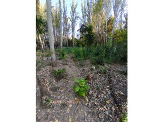 Foto 3 de VENTA DE TERRENO EN CALLE LARREA- CHACRAS DE CORIA, LUJN, MZA