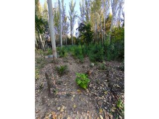 Foto 4 de VENTA DE TERRENO EN CALLE LARREA- CHACRAS DE CORIA, LUJN, MZA