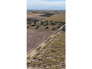 Foto 5 de VENTA DE FINCA 63 HAS - CHILVICOY, SAN MARTIN , MENDOZA