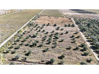 Foto 7 de VENTA DE FINCA 63 HAS - CHILVICOY, SAN MARTIN , MENDOZA