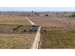 Foto 1 de VENTA DE FINCA 63 HAS - CHILVICOY, SAN MARTIN , MENDOZA