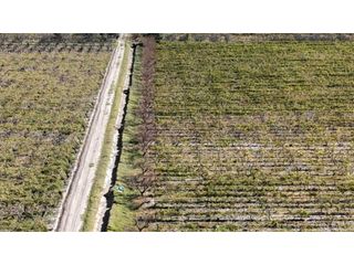Foto 3 de VENTA DE FINCA 63 HAS - CHILVICOY, SAN MARTIN , MENDOZA