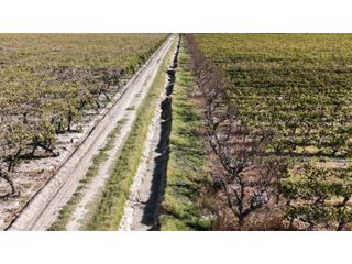 Foto 2 de VENTA DE FINCA 63 HAS - CHILVICOY, SAN MARTIN , MENDOZA