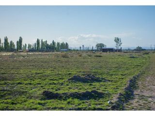 Foto 4 de Terreno En Venta San Rafael Mendoza