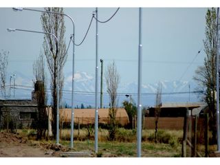 Foto 3 de Terreno En Venta San Rafael Mendoza