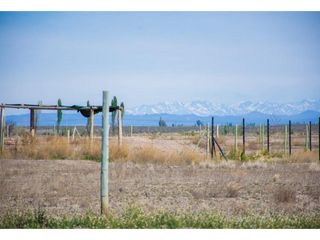 Foto 3 de Terreno En Venta San Rafael Mendoza