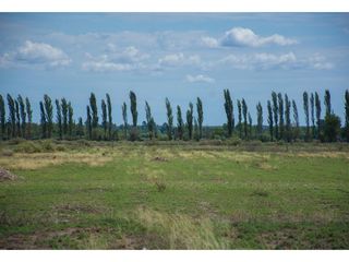 Foto 3 de Terreno En Venta San Rafael Mendoza