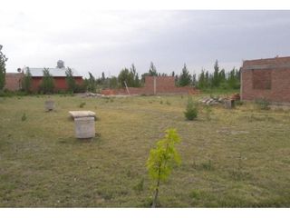 Foto 7 de Terreno 2.000 Metros En Venta San Rafael