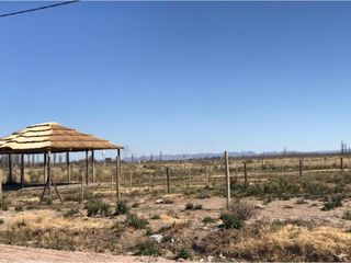 Foto 4 de Loteo San Rafael Mendoza