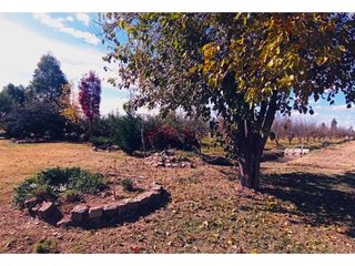 Foto 10 de Interesante Y Hermosa Finca Productiva En Venta