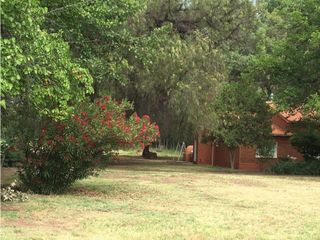 Foto 1 de Interesante Finca En Venta con hermosa casa-San Rafael Mendoza - Colonia Elena