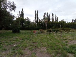 Foto 23 de Interesante Finca En Venta con hermosa casa-San Rafael Mendoza - Colonia Elena