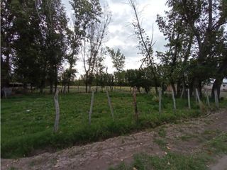 Foto 29 de Interesante Finca En Venta con hermosa casa-San Rafael Mendoza - Colonia Elena