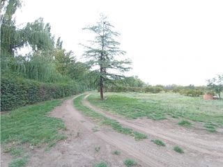 Foto 22 de Interesante Finca En Venta con hermosa casa-San Rafael Mendoza - Colonia Elena