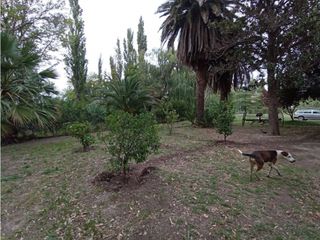 Foto 6 de Interesante Finca En Venta con hermosa casa-San Rafael Mendoza - Colonia Elena