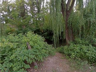 Foto 21 de Interesante Finca En Venta con hermosa casa-San Rafael Mendoza - Colonia Elena