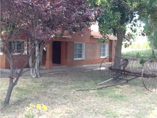 Foto 4 de Interesante Finca En Venta con hermosa casa-San Rafael Mendoza - Colonia Elena