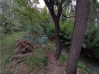 Foto 20 de Interesante Finca En Venta con hermosa casa-San Rafael Mendoza - Colonia Elena