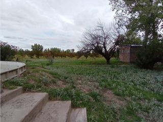 Foto 24 de Interesante Finca En Venta con hermosa casa-San Rafael Mendoza - Colonia Elena