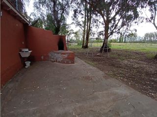 Foto 5 de Interesante Finca En Venta con hermosa casa-San Rafael Mendoza - Colonia Elena
