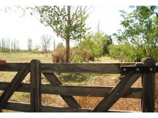 Foto 7 de Finca 1 Hectárea Con Cabañas En Las Paredes