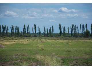 Foto 4 de Lote 2.000 M En Venta San Rafael Mendoza