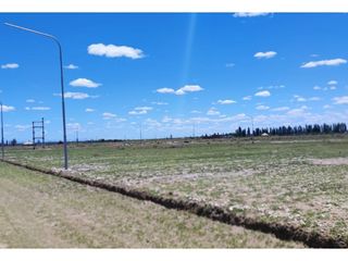 Foto 6 de Lote 2.000 M En Venta San Rafael Mendoza