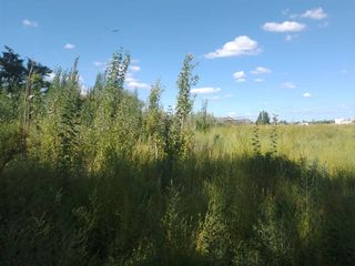 Foto 5 de Terreno en venta de 2030m2, ubicado en Las Paredes