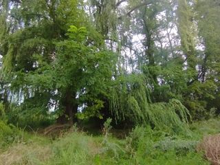 Foto 3 de Terreno en venta de 2030m2, ubicado en Las Paredes