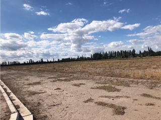 Foto 7 de Loteo En Venta San Rafael Mendoza- Las Paredes