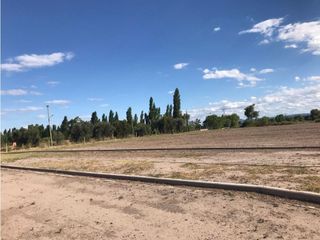 Foto 9 de Loteo En Venta San Rafael Mendoza- Las Paredes