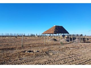 Foto 2 de Terreno En Venta San Rafael Mendoza