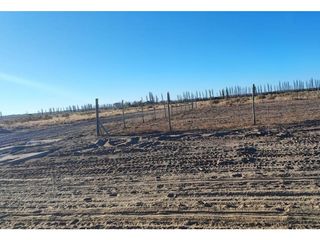 Foto 13 de Terreno En Venta San Rafael Mendoza