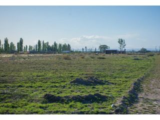 Foto 11 de Terreno En Venta San Rafael Mendoza
