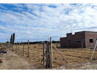 Foto 11 de Terreno San Rafael Mendoza - Venta
