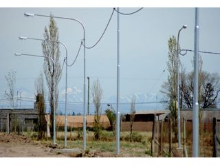 Foto 14 de Terreno San Rafael Mendoza - Venta