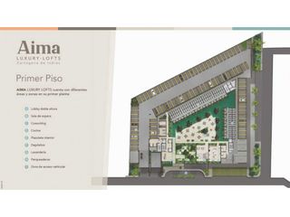 Foto 17 de AIMA apartamentos turísticos en venta manzanillo del mar.