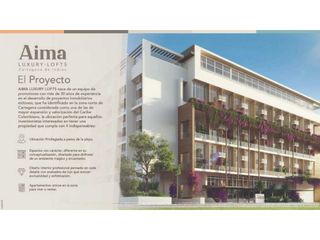Foto 2 de AIMA apartamentos turísticos en venta manzanillo del mar.