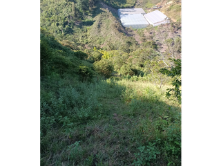 Foto 5 de Lote precio de oportunidad!!- parcelacion-La estrella