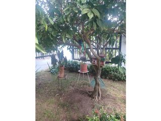 Foto 5 de Venta casa con piscina en Anapoima