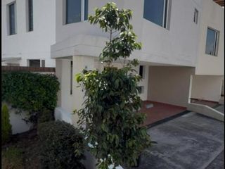 Foto 1 de Arriendo Casa en Cumbayá | Urbanización Privada