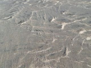 Foto 22 de ALQUILER TEMPORAL EN PLAYAS DORADAS, RIO NEGRO