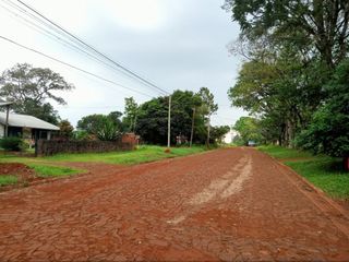 Foto 11 de TERRENO EN ARISTOBULO DEL VALLE