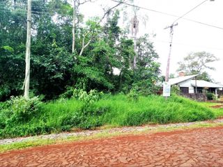 Foto 6 de TERRENO EN ARISTOBULO DEL VALLE
