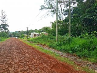 Foto 5 de TERRENO EN ARISTOBULO DEL VALLE
